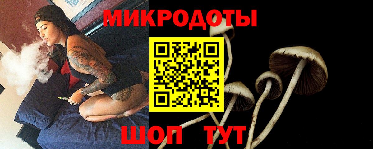 Псилоцибиновые грибы мухоморы  Галлюциногенные грибы мухоморы  Вход с VPN  Гусиноозёрск 