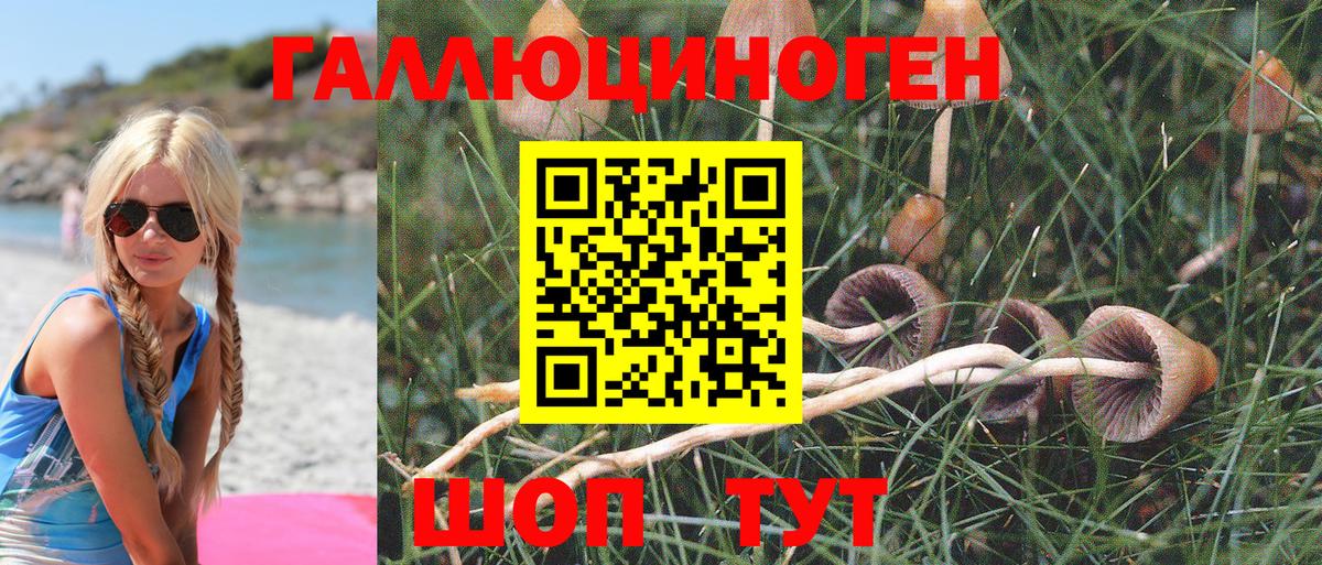 Галлюциногенные грибы GOLDEN TEACHER Гусиноозёрск