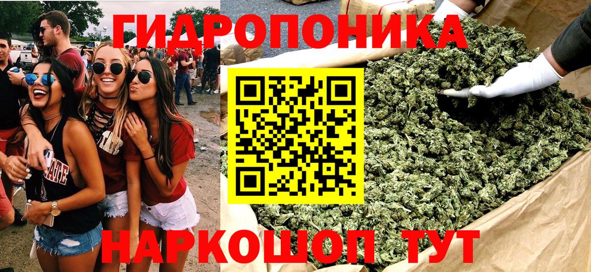 Марихуана сатива Гусиноозёрск